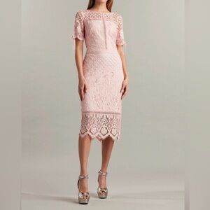 Tadashi Shoji Bobek primrose lace tea length dress, Size 6